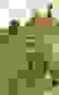 item-64469115=5