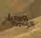 item-70399574=3