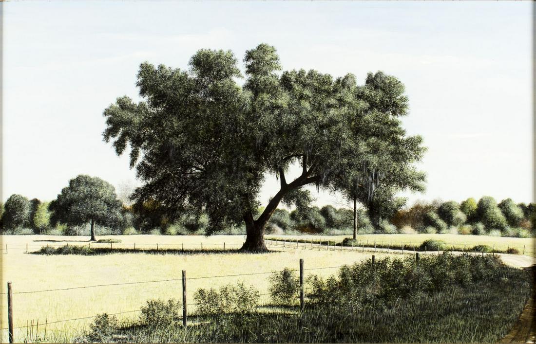 Will Hinds (LA,TX,1936-2015) oil painting: ARTIST: William Harvey Hinds (Louisiana, Texas, 1936 - 2015) NAME: Live Oak MEDIUM: oil on board CONDITION: Excellent. No visible inpaint under UV light. SIGHT SIZE: 18 x 28 inches / 45 x 70 cm FRAME 