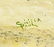 Sivilla Paulon (WA,mid 20C) oil painting - 4