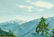 Sivilla Paulon (WA,mid 20C) oil painting - 8