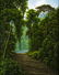 Juan Hernandez (Costa Rica,FL,born 1969) oil on canvas