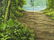 Juan Hernandez (Costa Rica,FL,born 1969) oil on canvas - 5