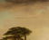 William Shayer I (UK,1788-1879) oil painting antique - 17