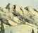 Jos Schroers (Europe,mid 20C) oil painting - 4