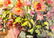Joan Marron LaRue (OK,AZ,born 1934) oil painting - 8
