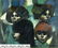 Angel Cestac (US,b 1948) oil painting - 2