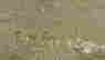 item-91492467=4