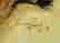 item-94609998=4
