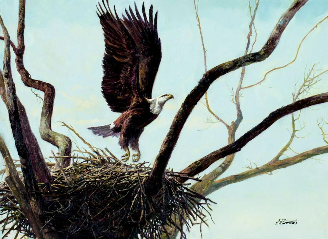 Shannon Stirnweis (AZ,NY,1931-2019) oil painting (1 of 10)