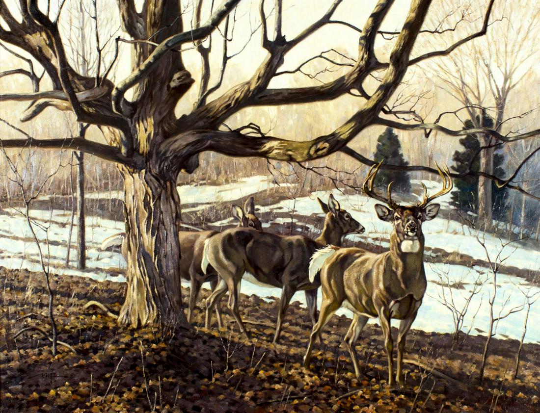 Dan Metz (Minnesota,born 1951) oil painting: ARTIST: Daniel Metz (Minnesota, born 1951) NAME: Minnesota Whitetail Deer MEDIUM: oil on canvas CONDITION: Excellent. No visible inpaint under UV light. Minor damages to frame. SIGHT SIZE: 26 x 34 inc