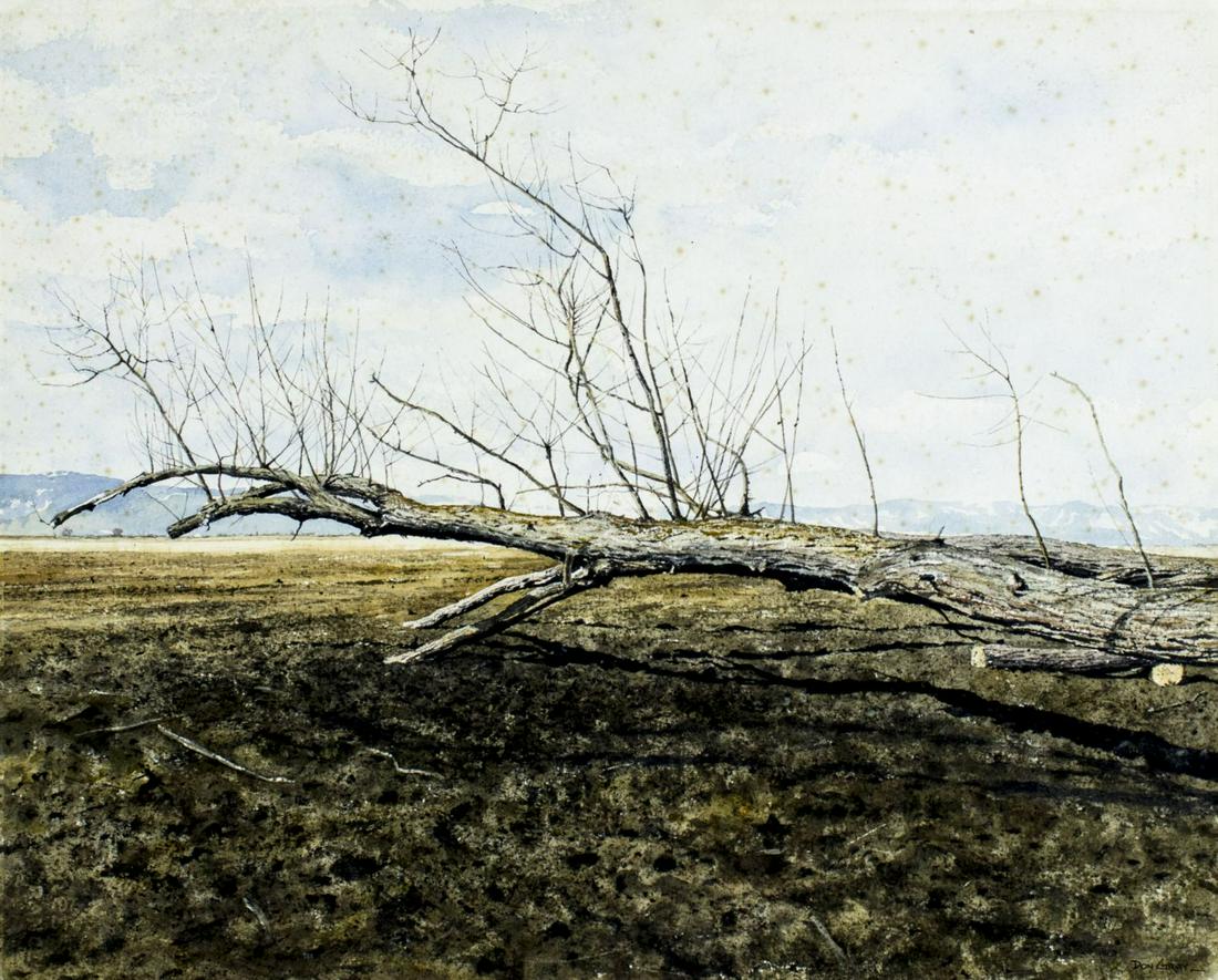 Don Gray (OR,CA,b 1948) watercolor painting (1 of 12)