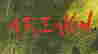 item-97814904=3