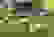 item-100939144=6