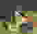 item-100939269=5