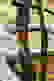 item-100939276=6