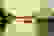 item-103137020=5