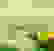 item-103137027=6