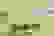 item-103137031=6