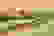 item-103137038=7