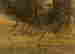 item-105129192=4