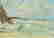 item-105129331=5