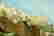 item-105129331=6