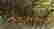 item-105129383=4