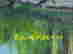 item-105129391=4