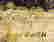 item-105129423=3