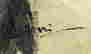 item-105129437=4