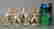 item-105129549=2