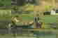 item-106941439=7