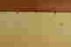 item-106941440=15