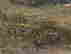 item-106941444=13