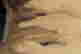 item-106941452=9