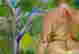 item-106941454=4