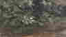 item-106941457=7