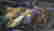 item-106941527=5