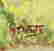 item-106941558=4
