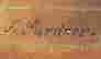 item-109571294=3