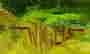 item-109571391=3