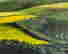 item-109571465=4