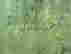 item-112284744=4