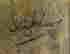 item-112284943=4