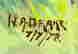 item-112285131=4