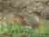 item-112285155=4