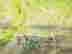 item-112285163=4