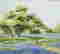 item-114168493=4