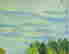 item-114168495=7